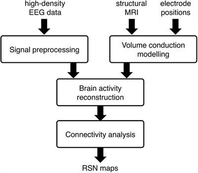 Frontiers | Detecting Large-Scale Brain Networks Using EEG: Impact Of ...